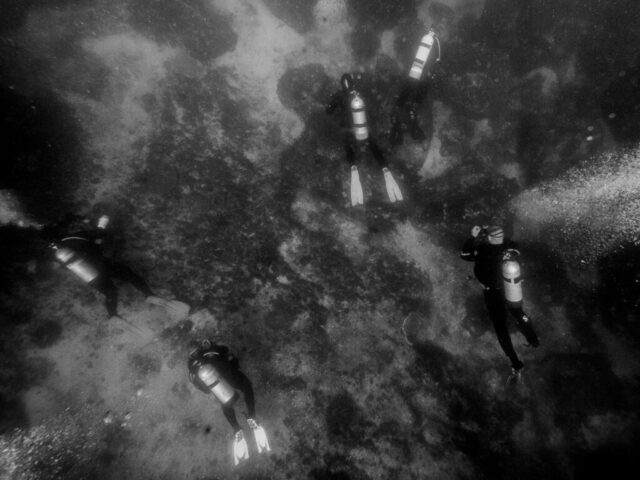 Above humans