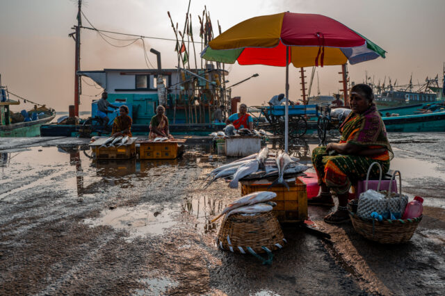 Fish sales